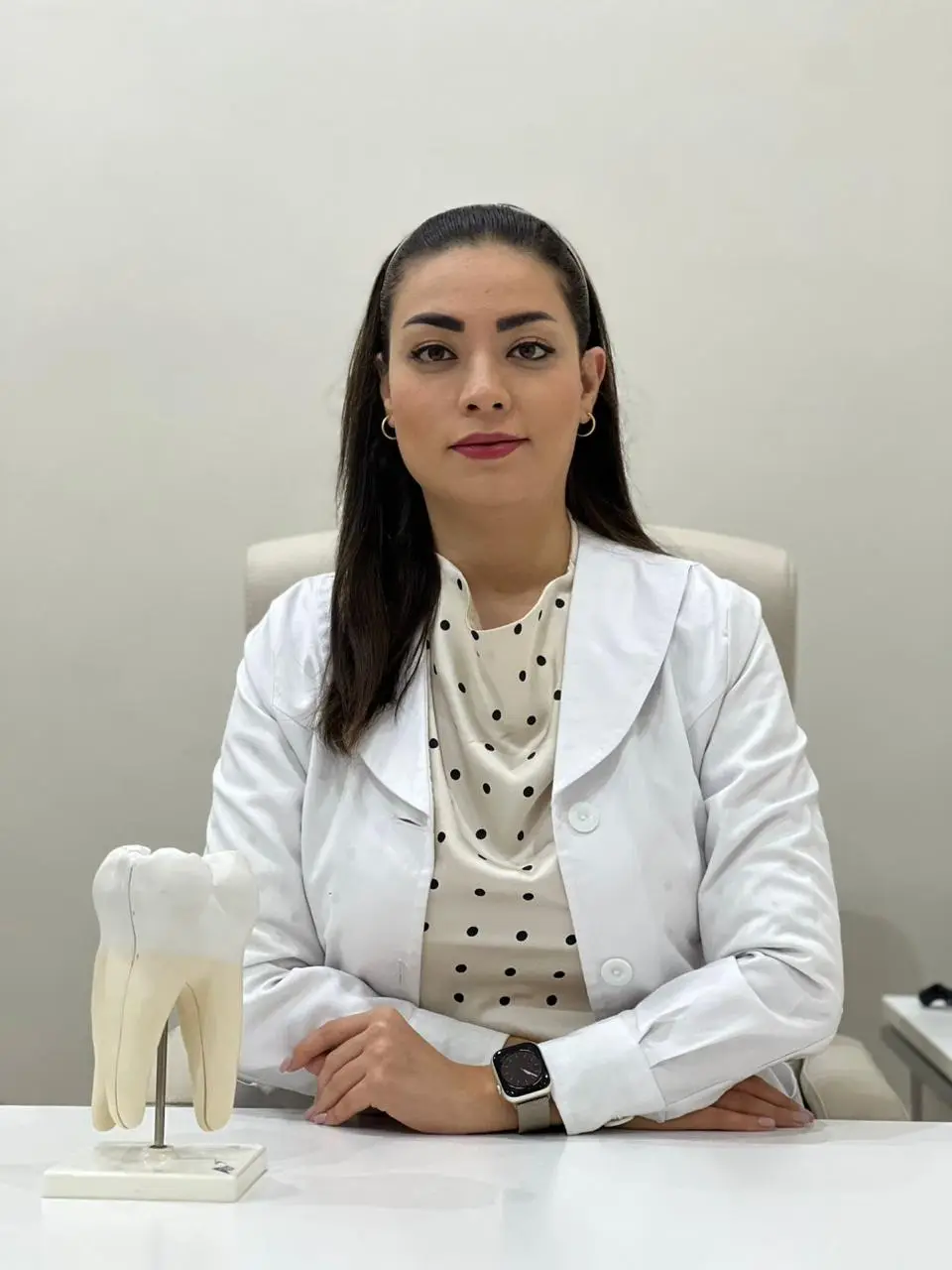 Dr. Roshanak, Dentist at Silk Clinics Dubai